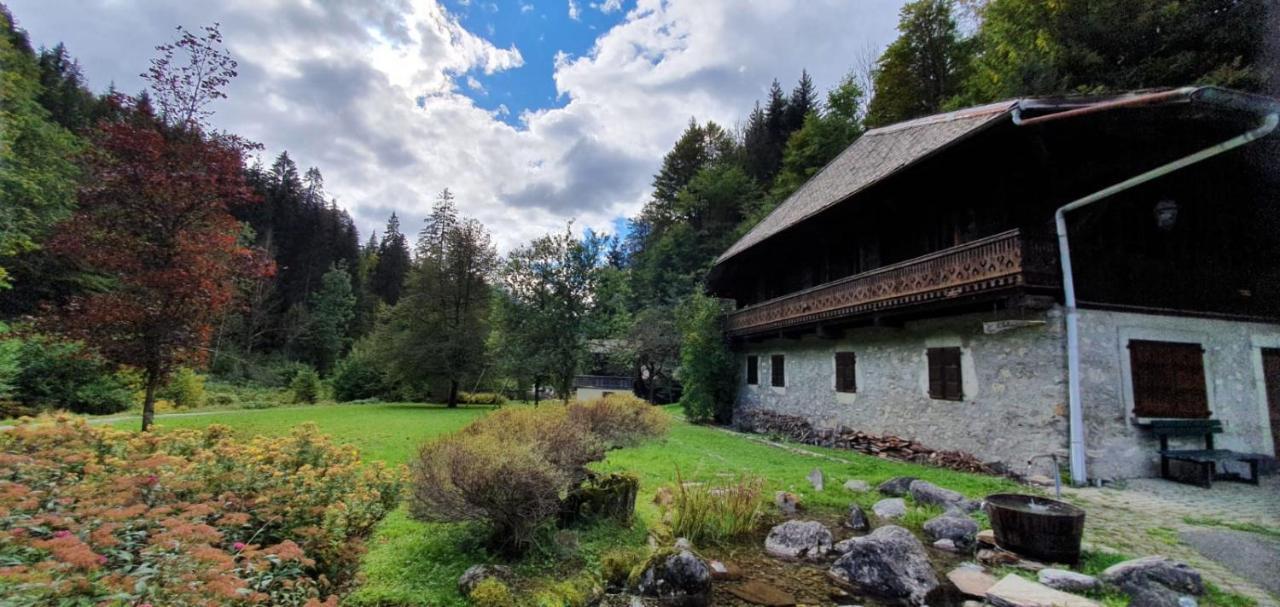 Appartement-3-Chambres-8-Couchages-Wifi-Montriond-Chebourins Luaran gambar